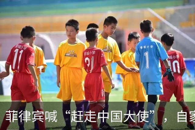菲律宾喊“赶走中国大使”，自家人先拍桌子：等于把全国推下悬崖